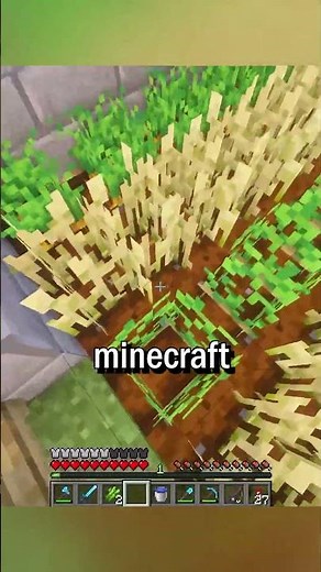 Minecraft new update changes everything for java