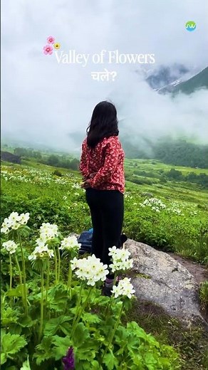 Heaven on Earth exists! Valley of Flowers 😍