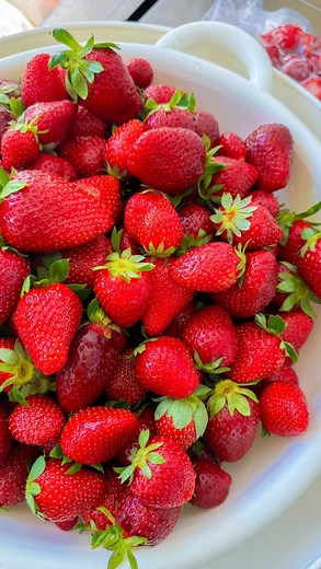 It’s that time of the year again 🍓 Strawberry season in Calabria. Each year we take advantage of strawberries at their peak. This year, we processed 40kg to enjoy all year long | Italian Culinary Institute, Italy