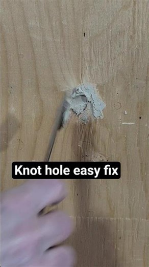 Wood filling a plywood imperfection.