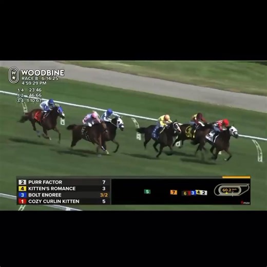 Woodbine Racetrack on Reels