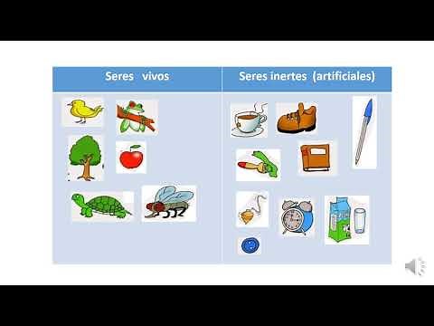 Juego a identificar seres vivos e inertes