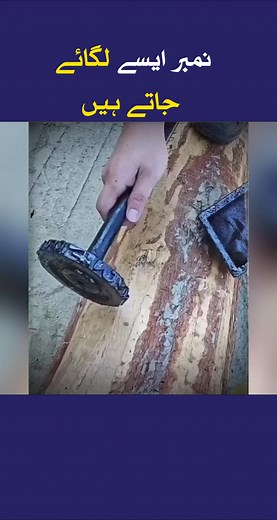 5.4M views · 26K reactions | This is How They Put Numbers on Trees – The Secret Revealed! #Nature #TreeMarking #forestry | PZ Prime News | Facebook