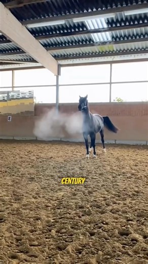 Why Engine Power Is Measured in Horsepower 🐎⚙️