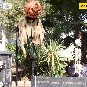 28K views · 162 reactions | HAPPY HALLOWEEN Go behind the scenes of a spook-tacular halloween display as Peter and Jeanette Gurrie get ready for the big night on Sunday. As you can see they take halloween very seriously- as many people do in the Red Centre. | ABC Alice Springs | Facebook