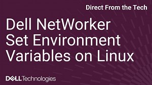 Setting Environment Variables in NetWorker on Unix/Linux