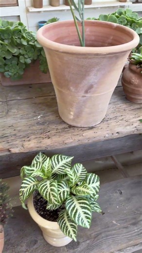 Exploring Los Alamos California/ This Place Was So Good