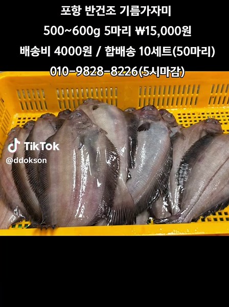 포항 반건조 기름가자미 첫출하 특가