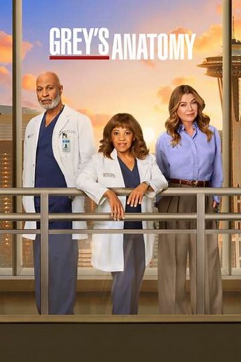 Grey's Anatomy (2005-2026) - TV Show