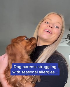 2.2K views · 36 reactions | This new probiotic chew is being described as "a godsend for doggy seasonal allergies & itching" | PetLab Co. | Facebook