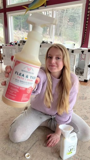 My Wondercide spray bottle refilling routine with added Neem oil to repel fleas & ticks 🐶🐾 #WondercidePartner #Wondercide #dogmom #naturalfleaandtickrepellent #naturalfleaandtick #fleaandtickprevention #fleaandticks #holistic #holisticdoghealth #holisticdogmom #neem #neemoil #neemoilbenefits