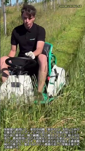 果樹園の雑草を一網打尽！乗用草刈機の圧倒的パワー #worker #process #mower #agriculture #farm