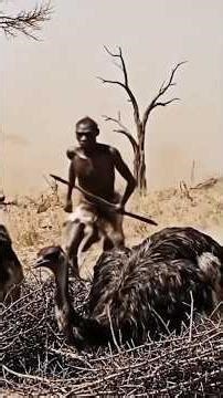 "Prehistoric Man’s Bold Hunt: The Great Ostrich Chase!"|#shortfeed #viral #movie 👍