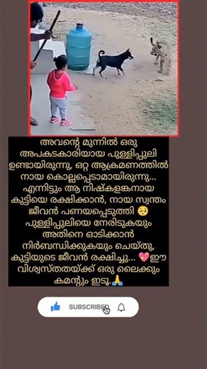 യഥാർത്ഥ ഹീറോ #emotional