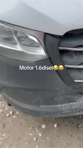 Alexandru Transport Danemarca on TikTok