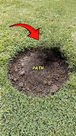 She turned a boring path into a glowing masterpiece 😳✨ #satisfying #transformation #viral #shorts