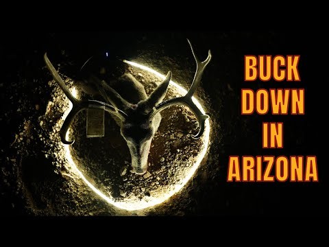 ARIZONA ARCHERY MULE DEER HUNTING