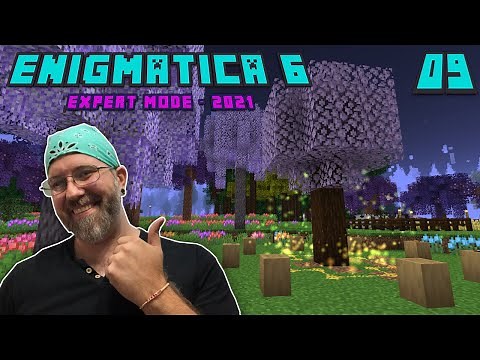 Lets Play Enigmatica 6 Expert EP 9 - Natures Aura Gold Leaf - Ritual of the Forest Ancient Sapling!