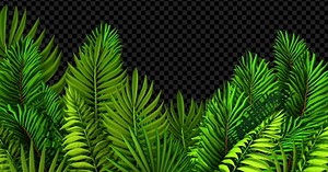 Lush Tropical Leaves Screen Transitions Pack