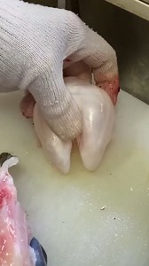 Found Inside The Stomach! 😱👽 | Hiroyuki Terada - Sushi Master
