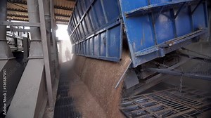 Panorama of unloading grain trucks at elevator on elevating hydraulic platform unloader. Grain crops transshipment at big sea terminal at seaport. Fast logictics concept.