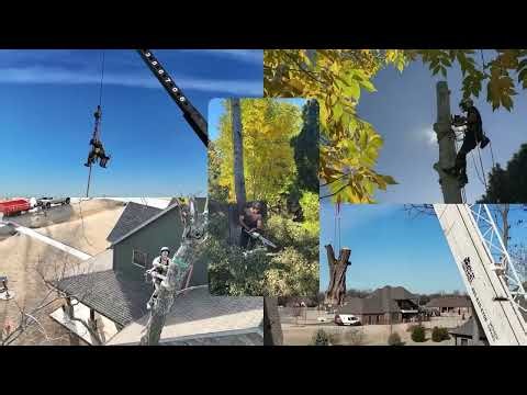 How TreeCheck AI Turns a Photo into a Job-Ready Lead