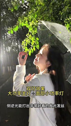 Master Rainy Day Photography: Essential Tips & Tricks