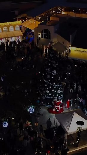 It’s a magical time of year to be in Naples! 🎄 #NaplesFlorida #FloridaTravel #FloridaVacation #Airbnb #VRBO #NaplesVacationRental | Stylehouse Vacation Rentals