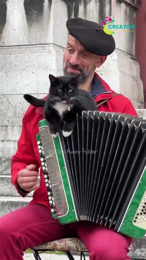 She taps the window to watch birds. | Creative Company