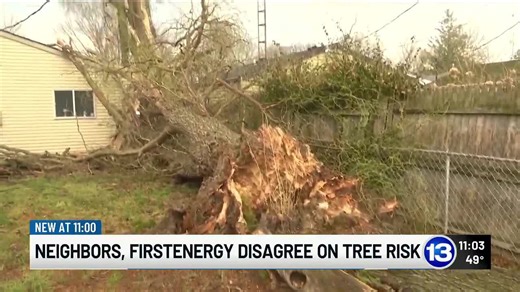 Toledo resident says downed tree remains safety hazard weeks after windstorm