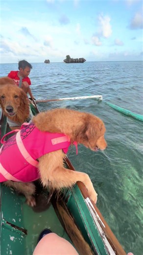 Alphanamir Adventures: Life Jacket Tips & Reviews