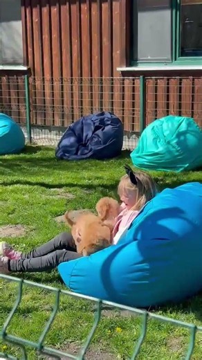 So Much Love at Our Poodle Party | An Unforgettable Kennel Gathering