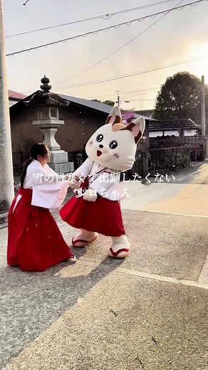雪の日のシロちゃんとお守りの魅力