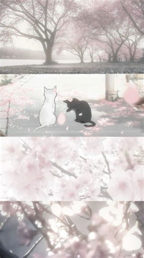 ~𝕾𝖆𝖐𝖚𝖗𝖆 𝖍𝖆𝖗𝖚𝖓𝖔~ on Instagram: "『ɪ ʜᴏᴘᴇ ʏᴏᴜ ʟɪᴋᴇ ɪᴛ』 ---------------------------------- [𝓒𝓻𝓮𝓭𝓲𝓽 :- @izumi_samaa_ ] __________________________________ 𝕱𝖔𝖑𝖑𝖔𝖜 @i.ssakura 𝖋𝖔𝖗 𝖒𝖔𝖗𝖊!! ---------------------------------- ~𝔉𝔬𝔩𝔩𝔬𝔴 𝔣𝔬𝔯 𝔪𝔬𝔯𝔢~ 𝐌𝐚𝐝𝐞 𝐛𝐲:- @i.ssakura ---------------------------------- тαgѕ:- #🇯🇵Japan is turning footsteps into electricity! Using piezoelectric tiles, every step you take generates a small amount of energy. Millions of steps toget