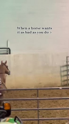 Mastering Barrel Racing Techniques on a Horse