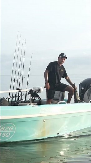 Reef Addicts & Humminbird Xplore.