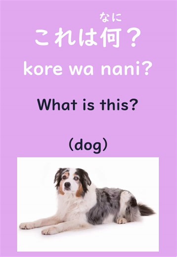 Learn Animal Names in Japanese