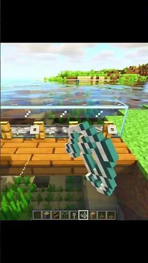 Minecraft satisfying bridge