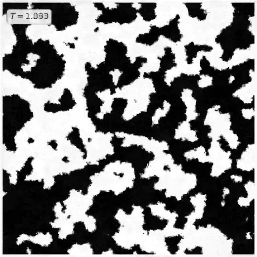 Single spin flip 2D Ising model with metropolis algorithm