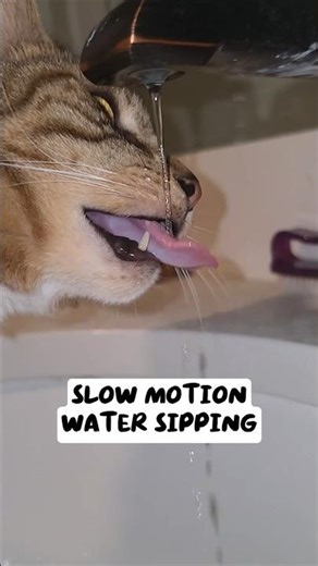 Most satisfying thirst quenching technique