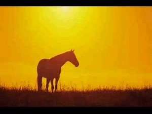 Keali'i Reichel － Field of Gold