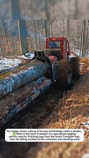 special tool for long logs#shortvideos #machinetechnology