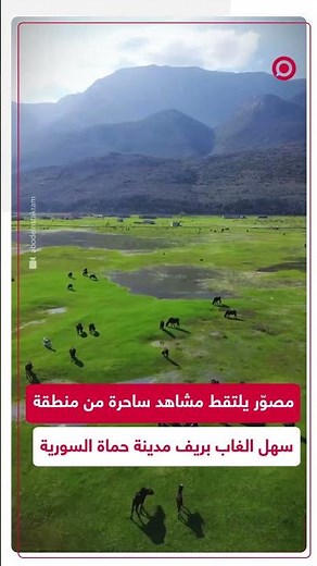 شاهد: الطبيعة في منطقة سهل الغاب