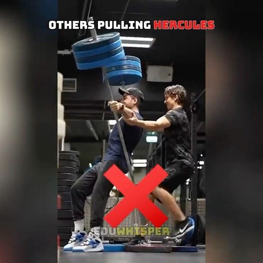 Others hercules pulling VS King of pulling🥶