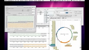 Youtube virtual ligation serial cloner