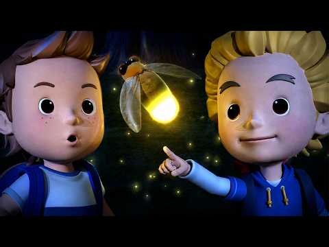 I Want to See Fireflies│Learn about Safety Tips│Let's Find Fireflies │Robocar POLI TV