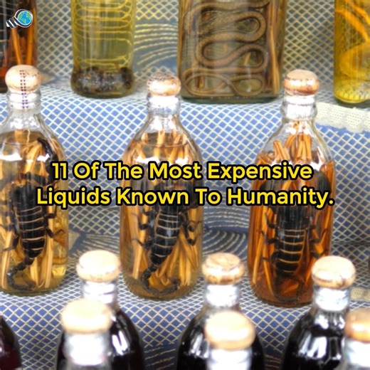 11 Of The Most Expensive Liquids Known To Humanity. | Weird World