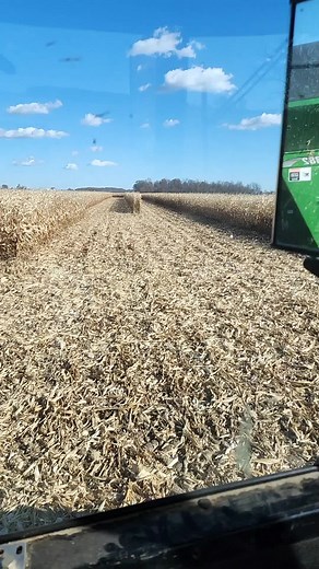 Autosteer was off a little here #fyp #farmtok #corn #ohiocheck #harvest23