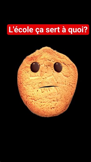 l'école ça sert à quoi?