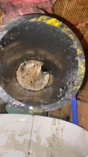 Troubleshooting Clogged Toilets: Finding the Blockage